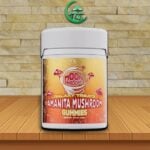 Galaxy Treats Amanita Muscaria Moon Shrooms 6000mg Cherry Berry