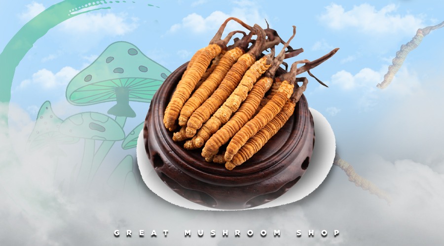 Cordyceps 