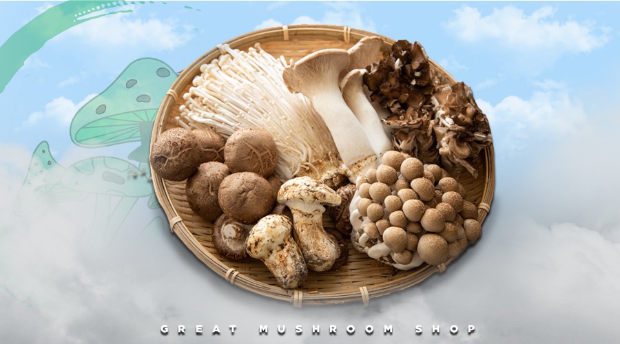 Understanding the Power of Adaptogenic Mushrooms
