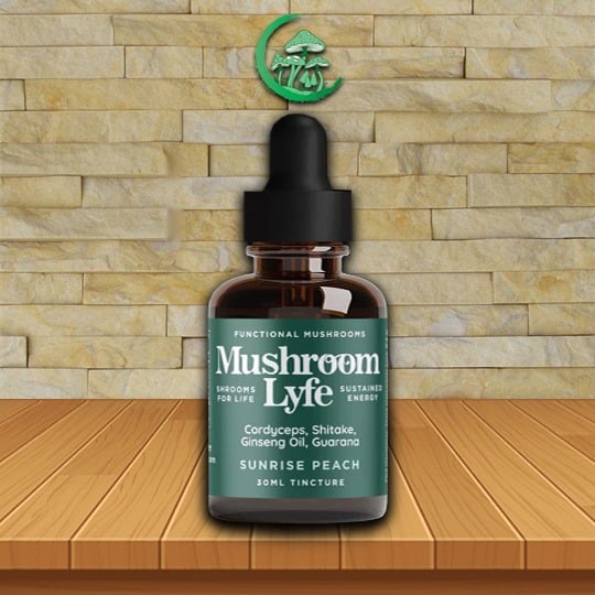 Mushroom Lyfe Functional Mushroom Energy Tincture