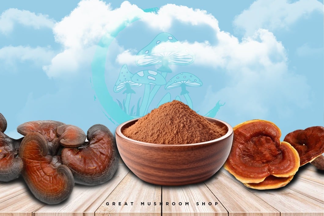 Deciphering the Enigma of Reishi Mushrooms An In-Depth Handbook