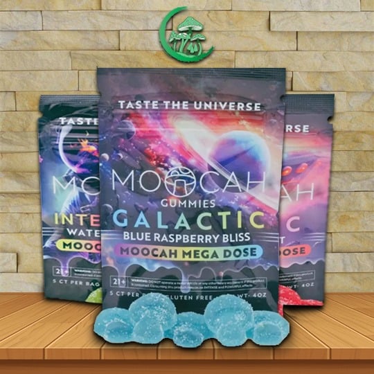 Moocah Mega Dose Mushroom Gummies 5ct