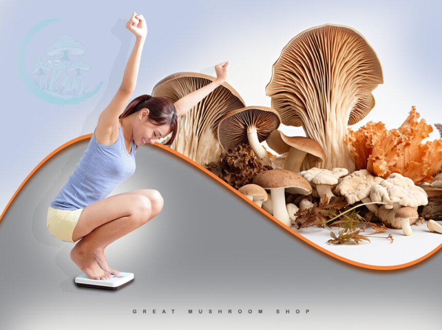 A Guide on Functional Mushrooms for Weight Loss - Great Mushroom Shop