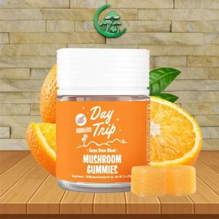 Day Trip Carpe Diem Blend Microdose Gummies + Functional Mushrooms