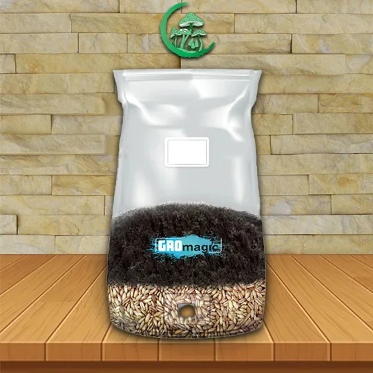 GROmagic All-In-One Mushroom Grow Bag Bag And Substrate