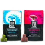 Shroom Kube Functional Mushroom Premium Microdose Gummies 10ct