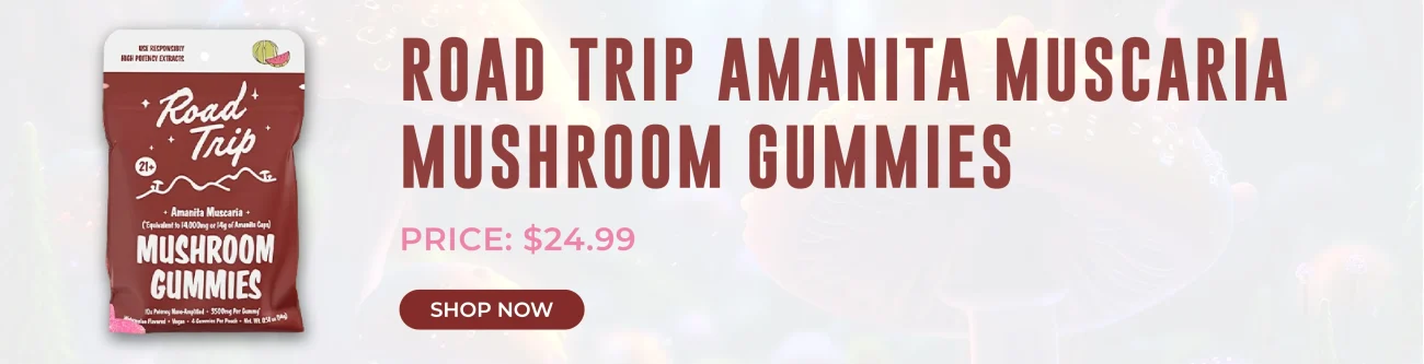 Road Trip Desert Stardust Blend Mushroom Gummies