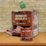 DayTripper Magic Mushroom Chocolate - Milk Chocolate -- Single Pack