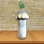 Ghost SporesMD Mushroom Spore_mushroom